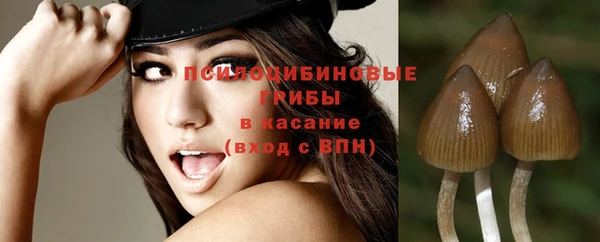 дурь Абинск