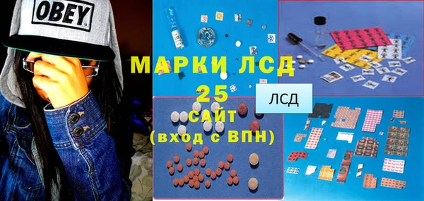 прущие грибы Нязепетровск
